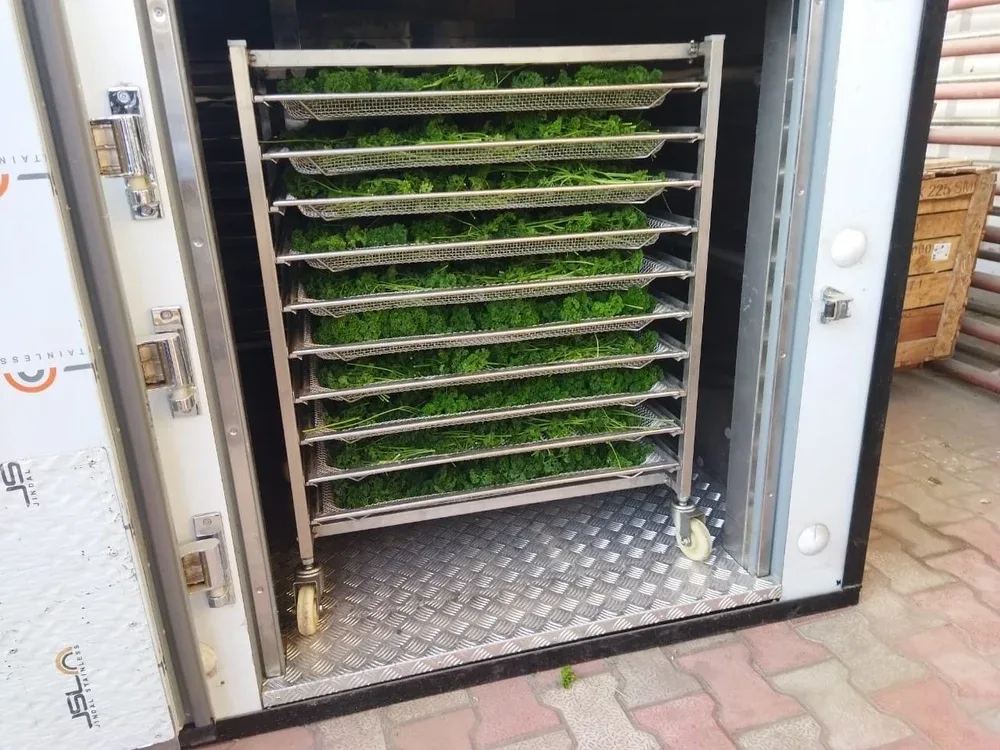 Processing unit