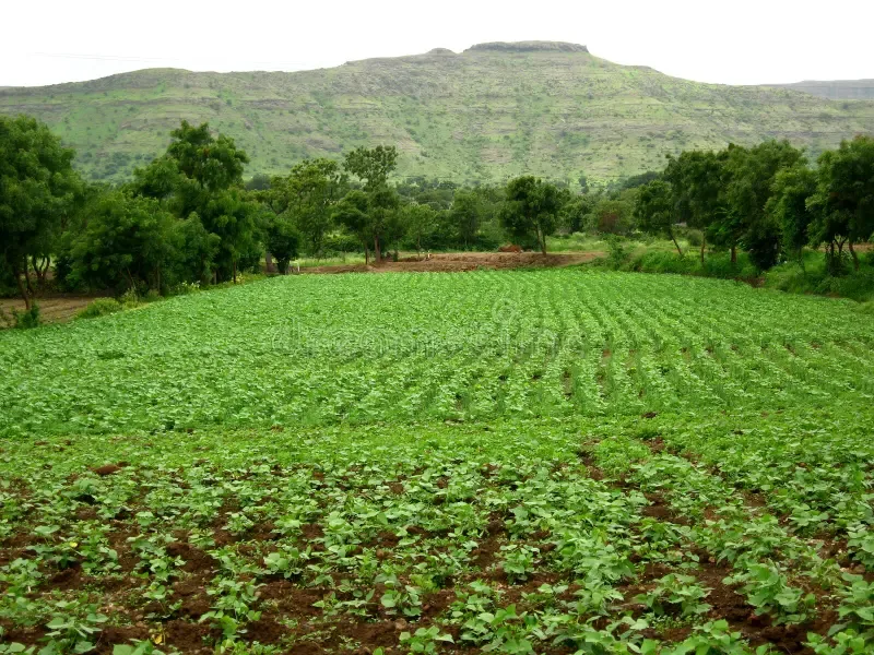 Sustainable farming